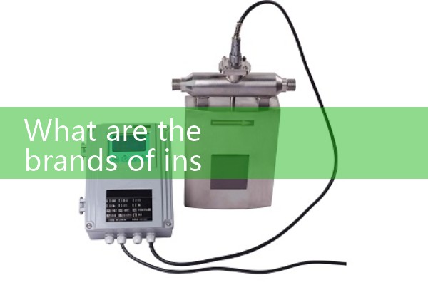 Manufacturer of metal tube float flowmeter